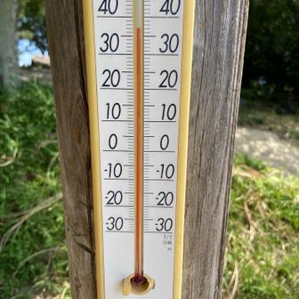37℃‼️💦
なんだか暑さもわからなくなってきた😂