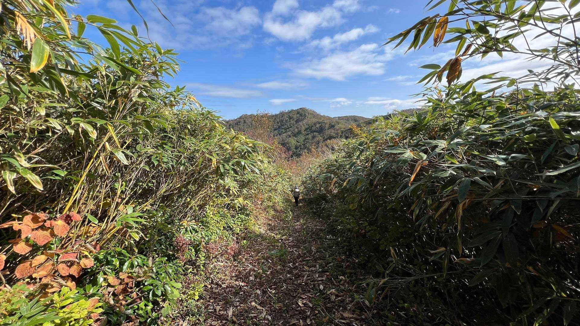 無名山に向かいます。🍂