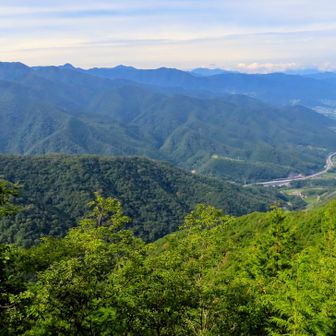 勝沼の町が見えます