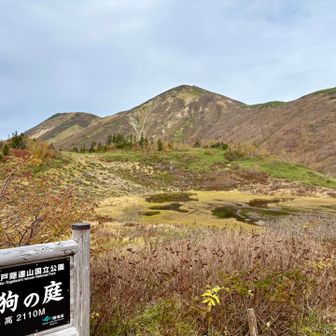 湿原好きです