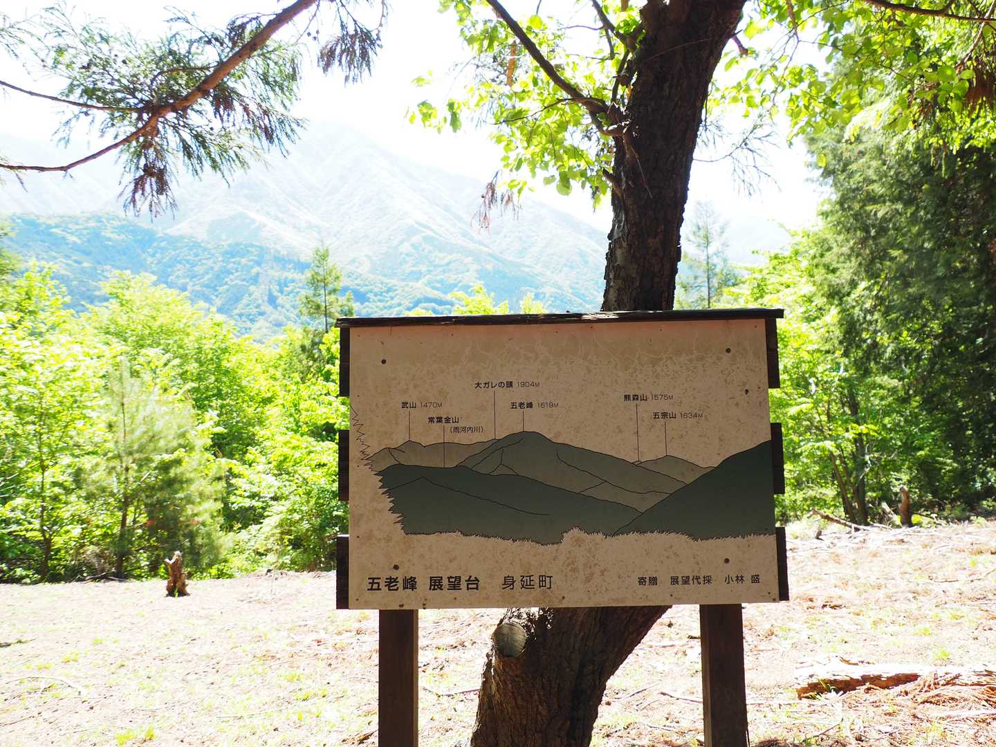 ちょっと登るの見晴らしポイントに到着🙌