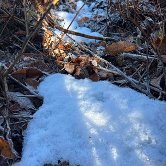 雪がわずかに残ってました❄️