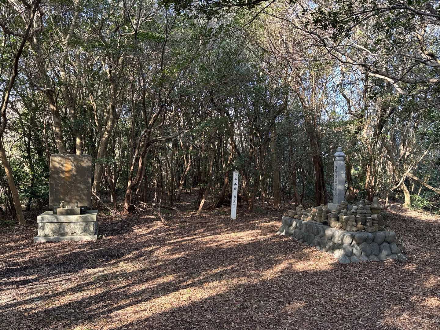 三井山89m山頂