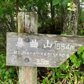 標高はあまりないが起伏に変化があり､距離が長いのでわりと体力がいるかな