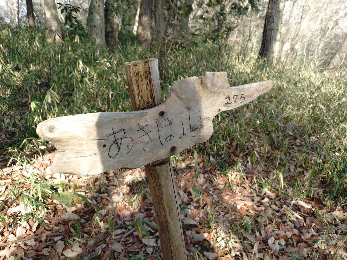 あきば山
たしか「青木葉山」って字だったと思います😳