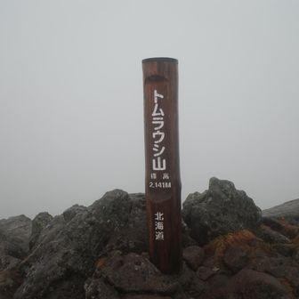 山頂✨標識が想像より大きい！