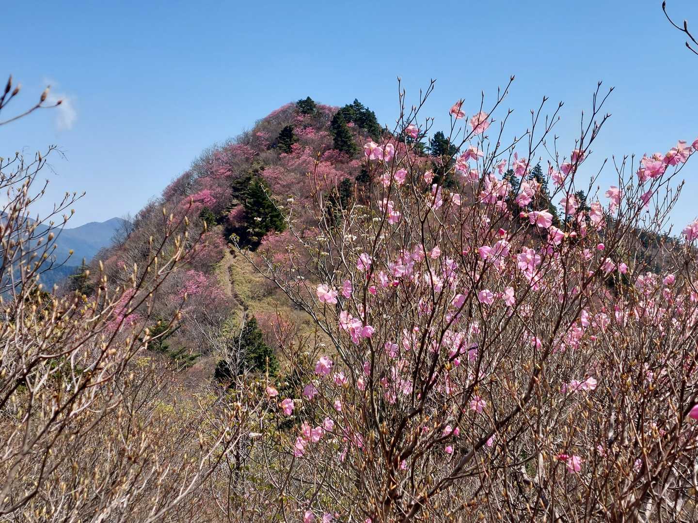 振り返れば