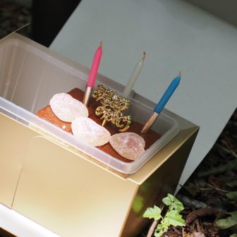 そして、カステラにおめでとうプレートとロウソク。まだ、誕生日気分🤭