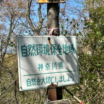 脇道から入って

雌龍籠山　着

取り付きがわかりにくいので注意です