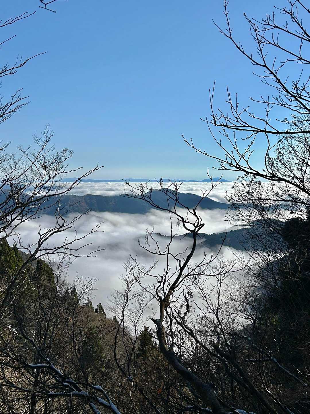 いやぁ、素敵✨