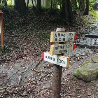 アスファルト道、石の階段、路盤材道など急坂でないところは道幅も広くトレランもできそう。