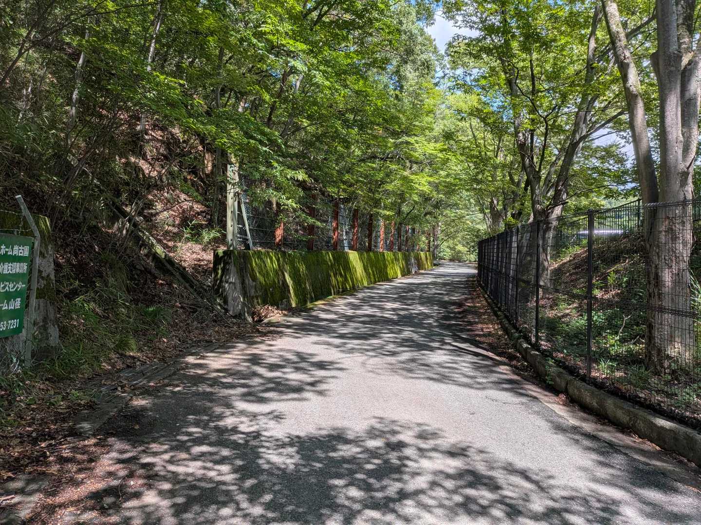 此処からお山歩の始まり始まり〜♫🙋
道の右手にも駐車場🅿️が有りました。こちらの方が日陰が有りますねぇ～！
しまった🤣