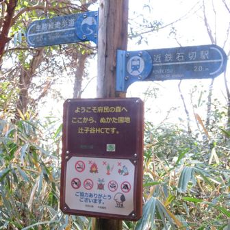 ぬかた園地に入る