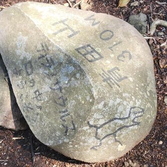 🦖くち
暑い☀️暑い☀️