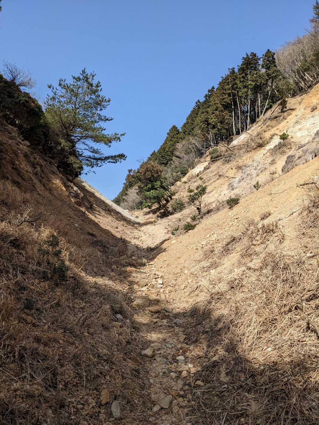 坂下峠まで来ると安心😅
