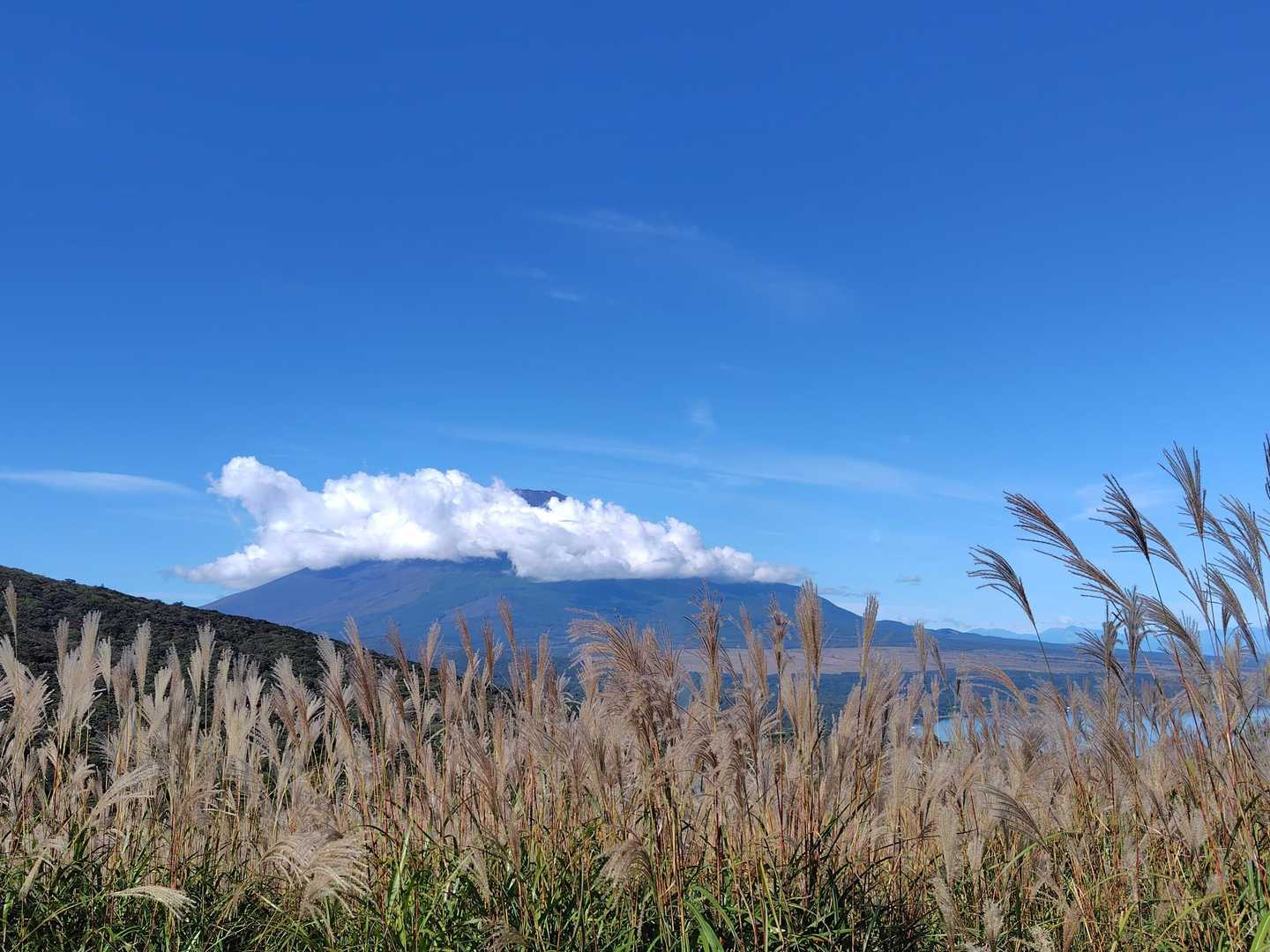 中央高速からは雲ひとつ無い綺麗な富士山が見えたのになあ
