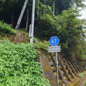 ここから降りてこられなかったのが悔やまれる