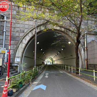 愛宕山トンネルを通る