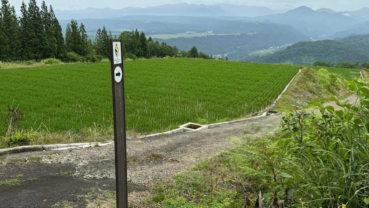 信越トレイル#4（sec.5-6-7／関田峠〜伏野峠〜野々海〜天水山〜森宮之原駅） の写真 76