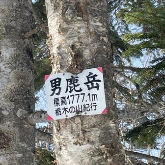 アップで、登ってきた感ある