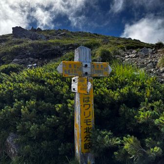 こっちから三俣山荘へ