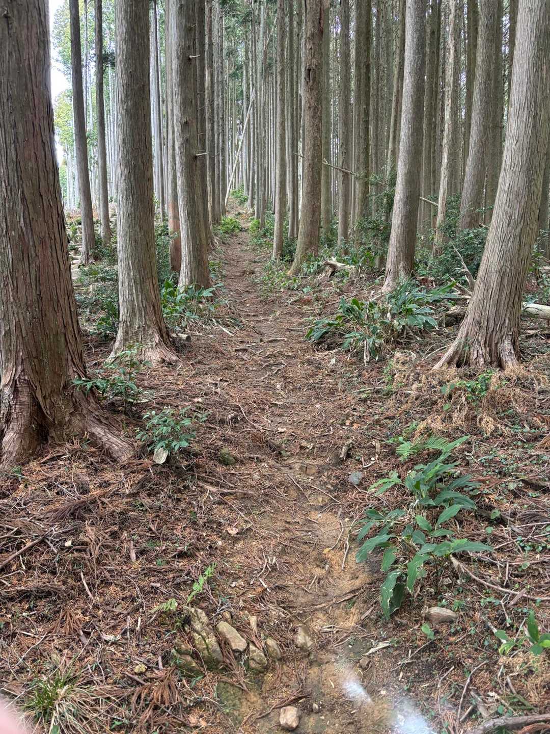 登り何続きます