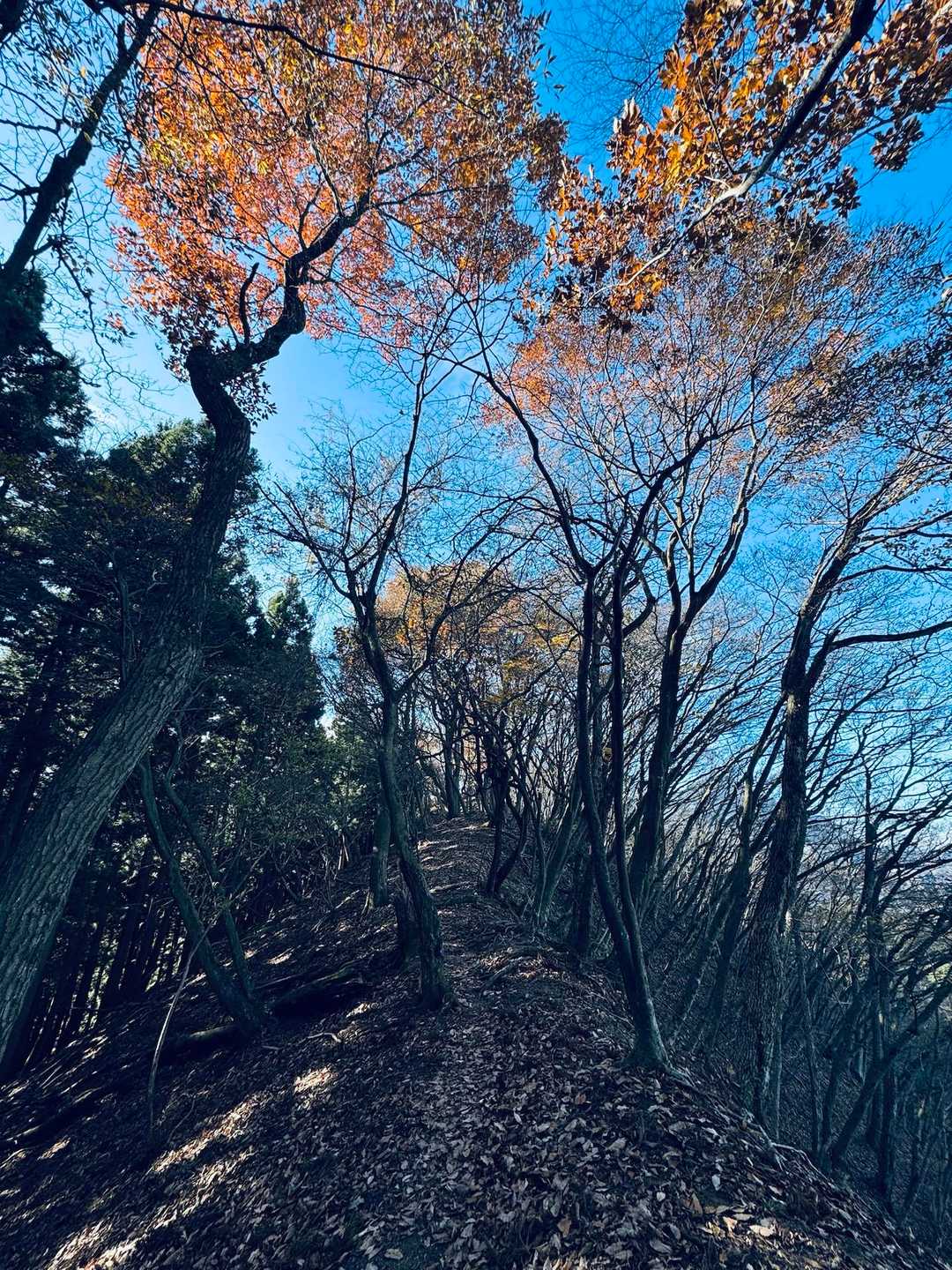 少し残る紅葉…
癒されます…