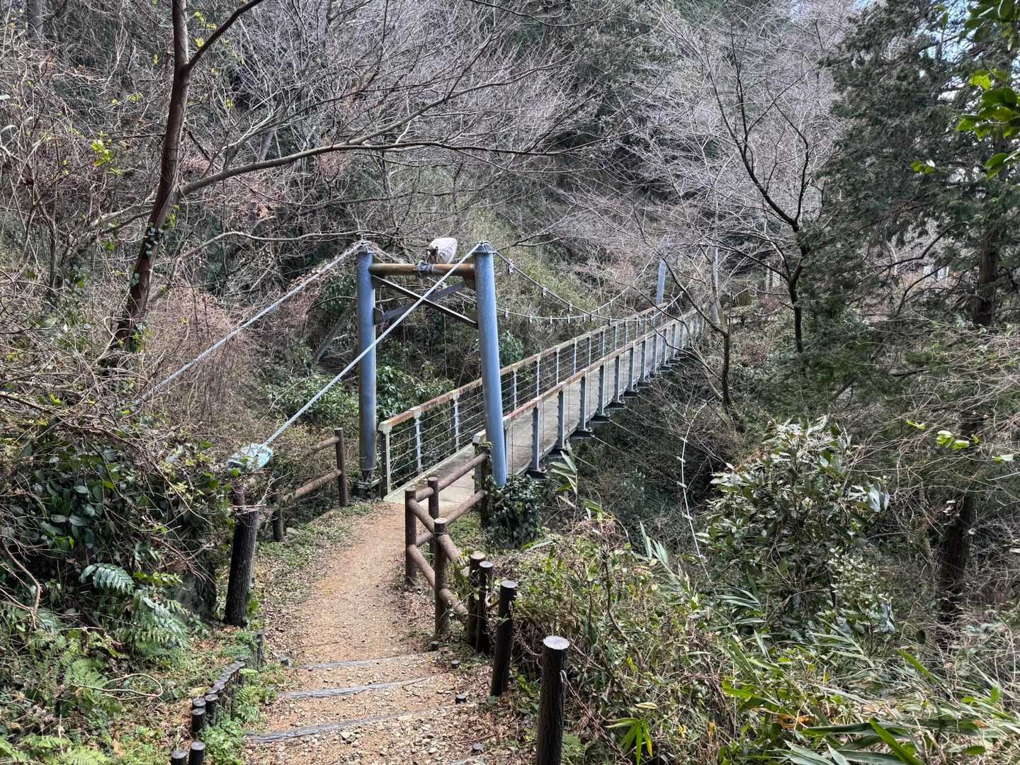 音無山-音成神社-音無山歩道登り口-二見興玉神社 周回コースの写真