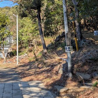 登山口の側にある温室に立ち寄り