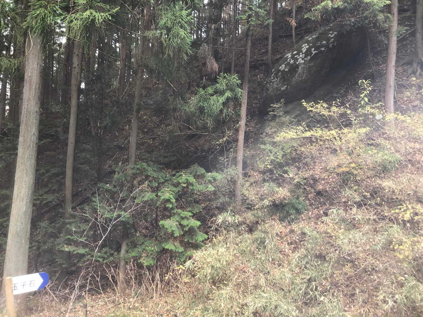 玉子石🪨