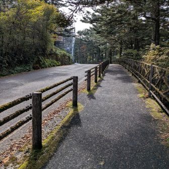 降りてきた