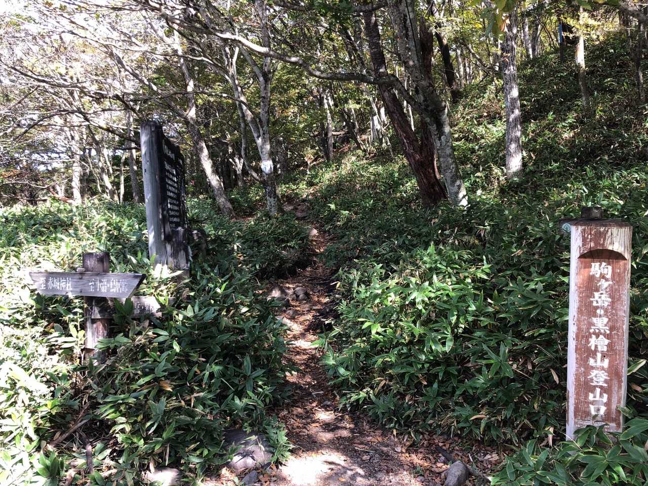 はい下山