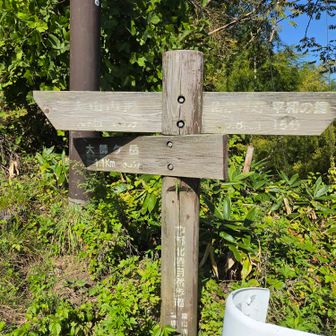 大師ケ岳へ