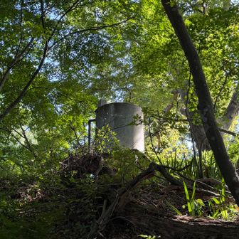 神社の裏の貯水タンクが一番高いところ