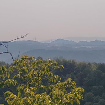 入鹿池が見えるから明治村方面かな?