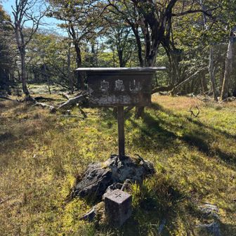 頑張った急登の先にすぐに現れた白鳥山o(^▽^)o。
九州100名山です〜🙌