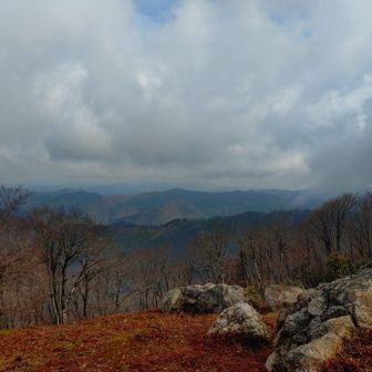 ほんの気持ち青空が✨️(*^_^*)