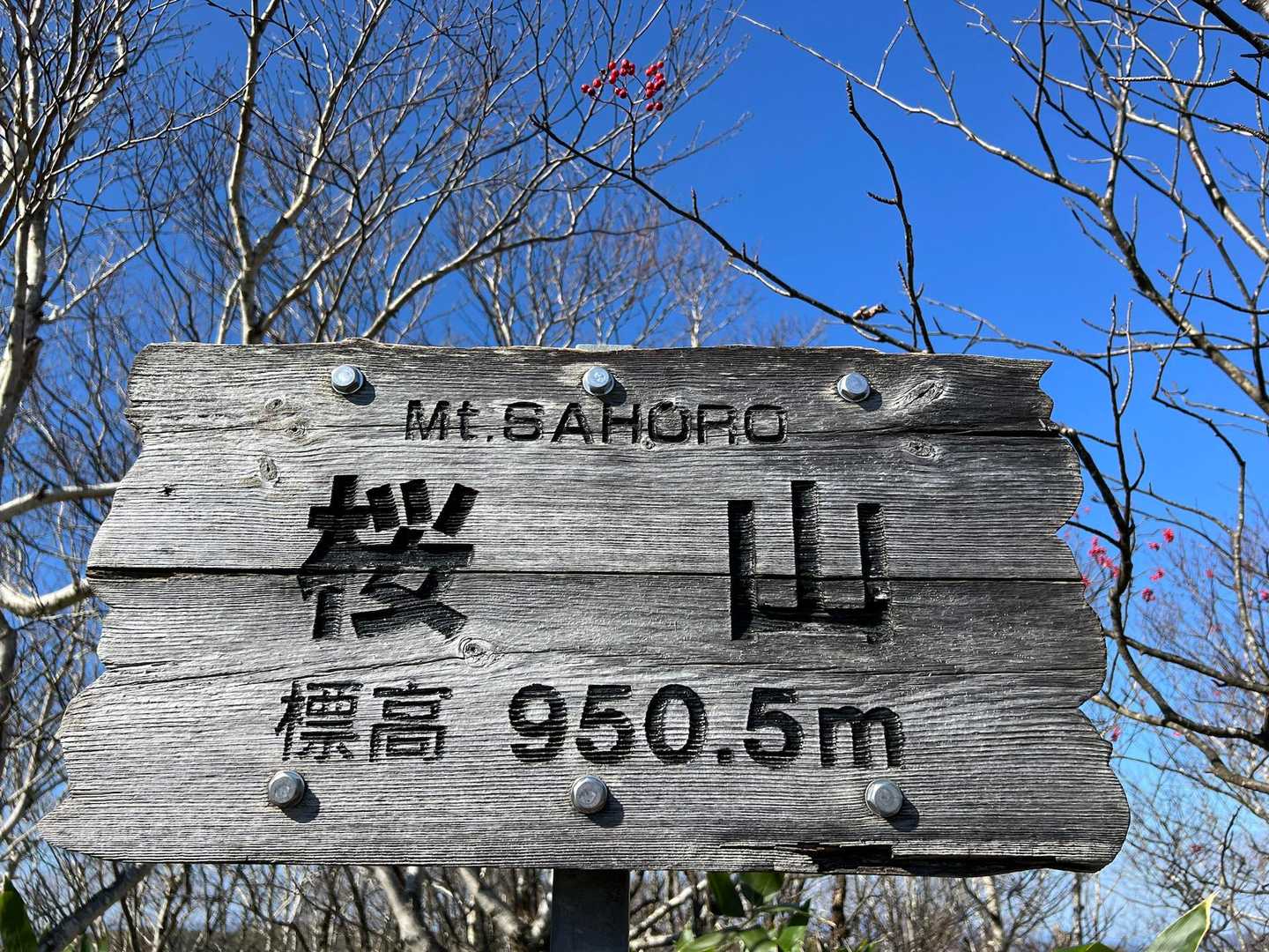 桜山യꕤ😊
