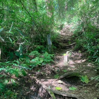 史跡金剛山。大阪側にもありました。