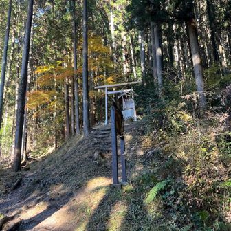 こちら埼玉では人気の棒ノ折山と同じ駐車場を利用する蕨山ですが人気が無いみたい…

以前、棒ノ折山からの周回で下山の時に使わせて頂いたお山を今度は登りで使ってみようかと…