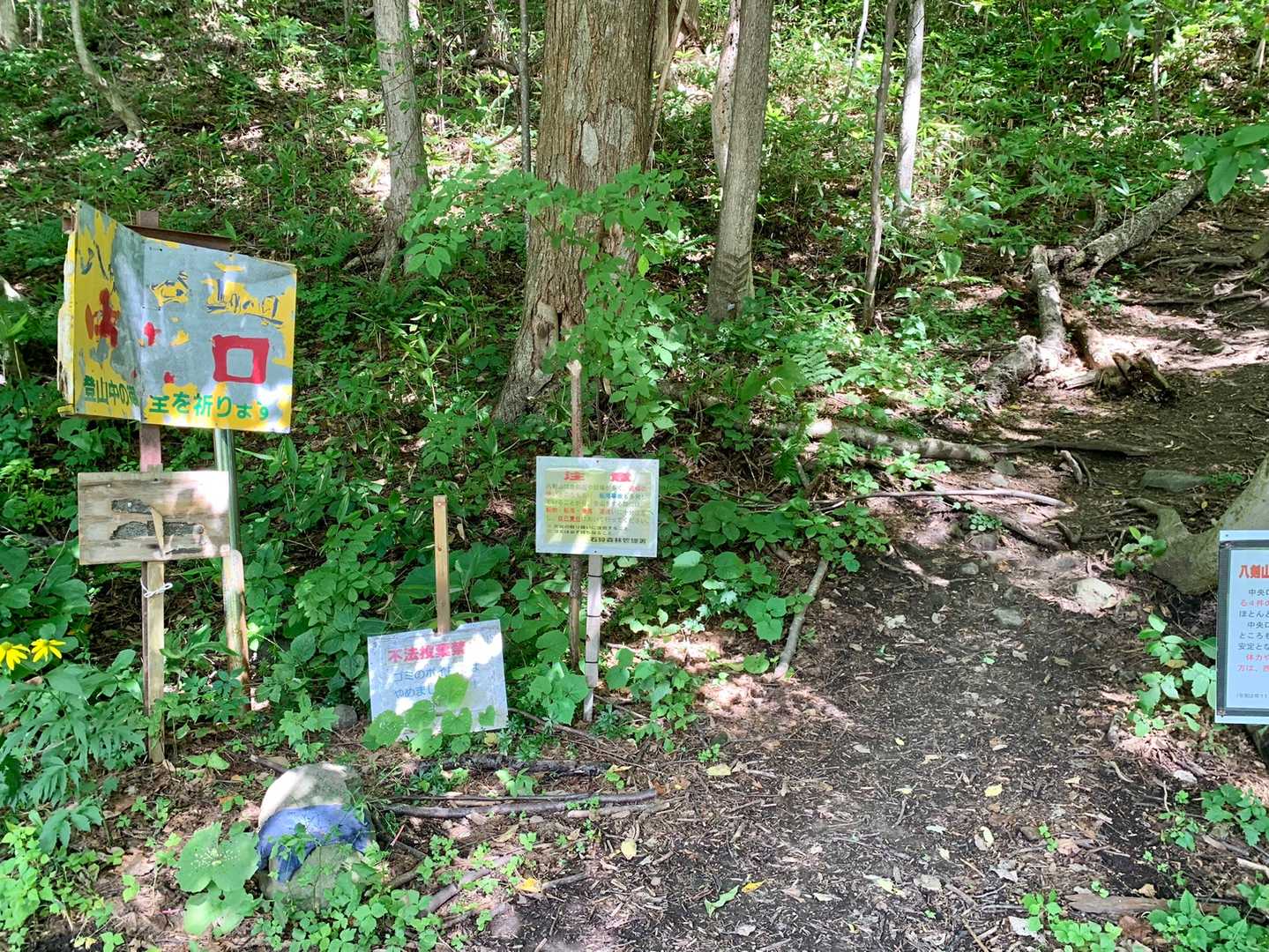 中央口登山口
登り返します。