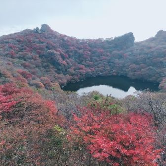 タイミング難しい