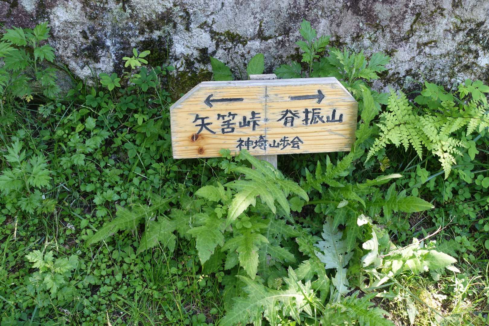 田中登山口より