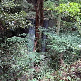 どこから沢に入るのかなぁ？
堰堤がいくつか出てくるのでまだかな。