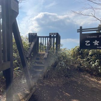 乙女峠に到着。
見覚えのある風景。
ここから下山します。