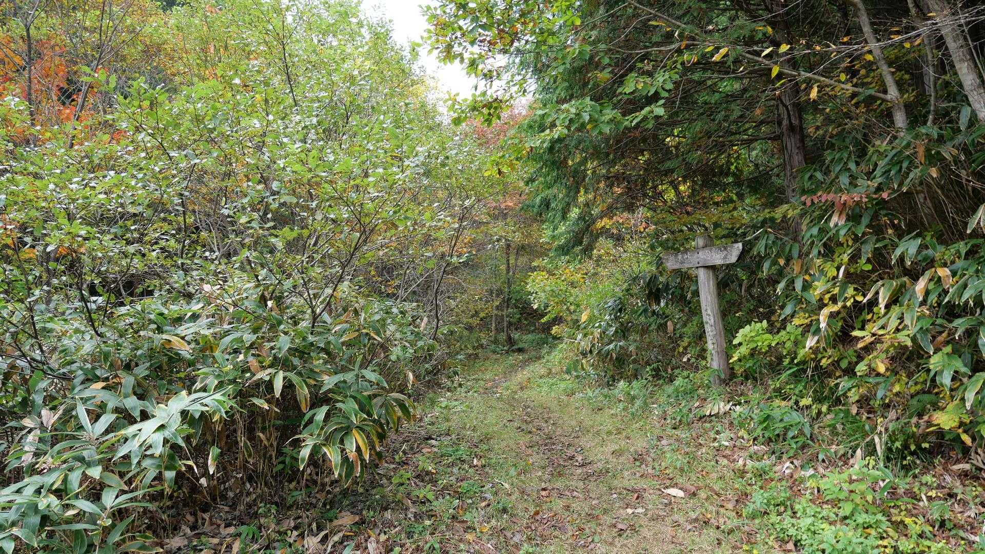 2kmくらい歩いてやっと山道に