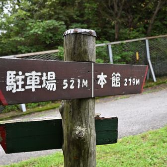 一旦舗装路