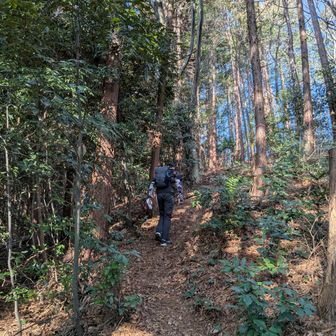 さあ読図登山のはじまりです。
下山するまでヤマップは見られません😅