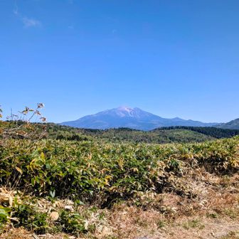 山頂は笹原になっていて見通し抜群😀