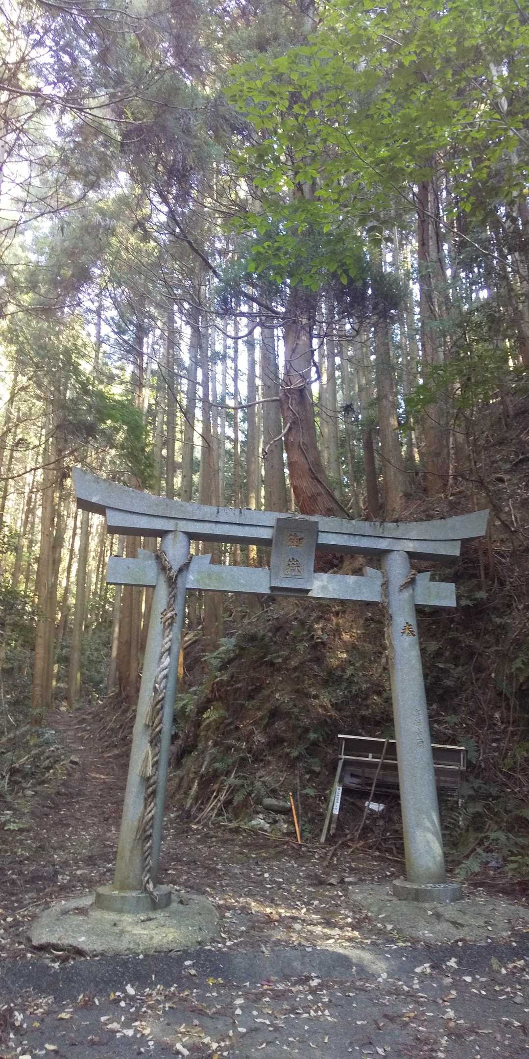 御岳登山口-御岳 往復コースの写真